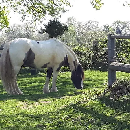 'ridgeway' Dom wakacyjny Mayenne